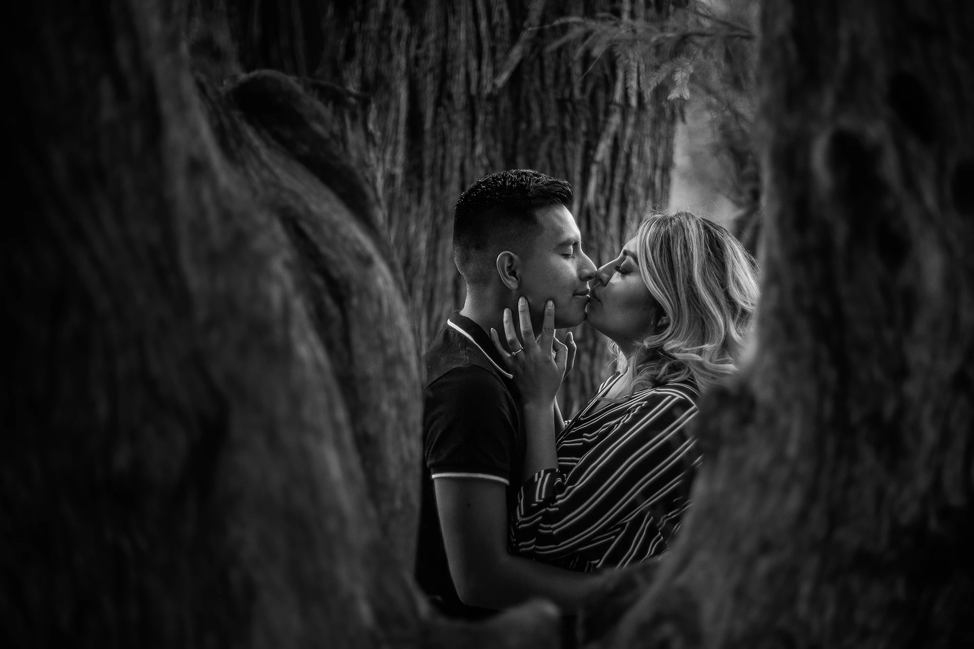 Fotografía de bodas en blanco y negro de dos novios besándose sobre unos troncos. Retrato editorial que resalta la composición, las texturas y la emoción en un entorno natural.